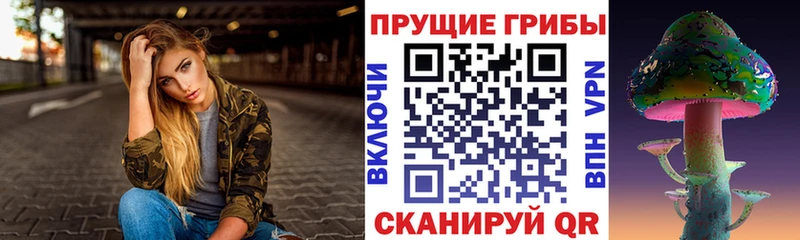 закладки  Дегтярск  кракен зеркало  Псилоцибиновые грибы Psilocybe 
